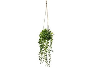 3560238334737 - Atmosphera Créateur Dintérieur - Künstliche Hängepflanze Living - Zementtopf - H10-5 cm - Grün