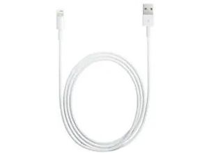 0885909627424 - iPad iPhone iPod Anschlusskabel [1x USB 20 Stecker A - 1x Lightning-Stecker] 100 m Weiß