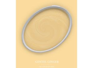 4059432258110 - Ascreations - Wandfarbe Gelb matt The Color Kitchen Gentel Ginger Exklusive Innendispersion Hohe Deckkraft 5 Liter - Gelb