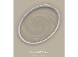 4059432257151 - Ascreations - Wandfarbe Taupe matt The Color Kitchen Pumpkin Seed Exklusive Innendispersion Hohe Deckkraft 5 Liter - Grau