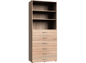 4038061008679 - Regal WIMEX Multiraumkonzept braun (eiche sägerau nachbildung) B80cm H185cm T40cm Holzwerkstoff Spanplatte Regale Breite 80 cm