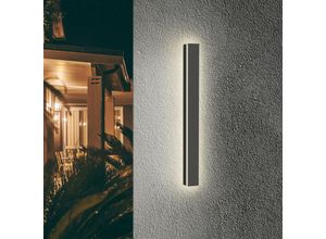 9441000427090 - Swanew - Applique Murale Exterieur led Ampoule Lampe Murale Interieur Réglable Angle Lumière pour Maison 80cm 18W Blanc chaud