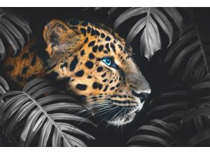 8714597587531 - Wandbild REINDERS Wandbild Leopard Jungle - Pflanze Tiermotiv Bilder Gr B H 90 cm x 60 cm Leopard 1 St bunt (mehrfarbig) Kunstdrucke 8714597587531 - Wandbild REINDERS Wandbild Leopard Jungle - Pflanze Tiermotiv Bilder Gr B H 90 cm x 60 cm Leopard 1 St bunt (mehrfarbig) Kunstdrucke