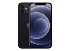 0194252033012 - iPhone 12 - Smartphone - Dual-SIM - 5G NR - 256GB - CDMA   GSM - 61 - 2532 x 1170 Pixel (460 ppi (Pixel pro )) - Super Retina XDR Display (12 MP Vorderkamera) - 2 x Rückkamera - Schwarz (MGJG3ZD A)