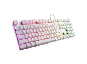 4044951034277 - PureWriter RGB Gaming-Tastatur