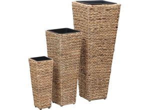 8718475727415 - Bonnevie - 3-tlg Garten-HochbeeteBlumenkasten Wasserhyazinthe Braun vidaXL