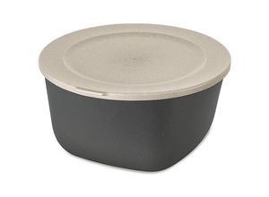 4002942561430 - Frischhaltedose KOZIOL CONNECT BOX 4 Lebensmittelaufbewahrungsbehälter Gr B H L 25 cm x 13 cm x 25 cm grau (nature ash grey) Frischhaltedosen spülmaschinengeeignetmelaminfreirecycelbarCO²neutrale Produktion 4L