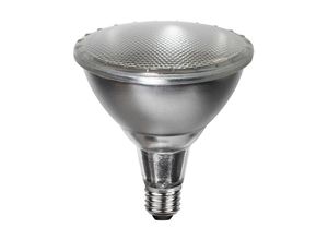 7391482036896 - LED-Lampe E27 PAR38 Spotlight Outdoor Silber Neutralweiß Außenbereich IP65 - Star Trading