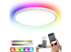 9364303886299 - Smart led Deckenleuchte 24W - Leuchte dimmbar rgb IP44 Wohnzimmer Keller Küchen - Swanew