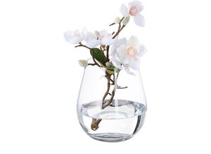 4052025871185 - Blumenvase Glasvase für Blumen Tischvase aus Klarglas hohe Tulpenvase Maße h x d 16 x 14 cm transparent - Relaxdays 4052025871185 - Blumenvase Glasvase für Blumen Tischvase aus Klarglas hohe Tulpenvase Maße h x d 16 x 14 cm transparent - Relaxdays