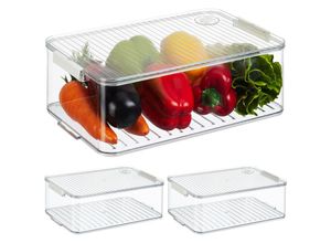 4052025479237 - Kühlschrank Organizer 3er Set Kühlschrankeinsätze mit Deckel & Datum HxBxT 105 x 21 x 33 cm transparent - Relaxdays