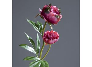 4027234258317 - Kunstblume Päonie (H 60 cm) 4027234258317 - Kunstblume Päonie (H 60 cm)