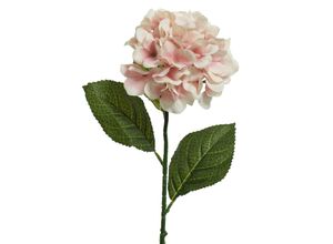 8720194511022 - Kunstblume HORTENSIE 8720194511022 - Kunstblume HORTENSIE