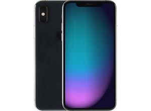 4036779015187 - iPhone XS 64GB space grau