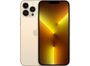 0194252699607 - iPhone 13 Pro Max 256 GB Gold MLLD3ZD A