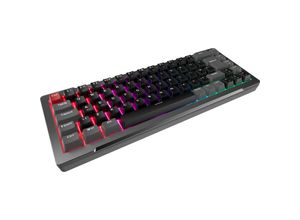 4715109924770 - RAIJINTEK Gaming-Tastatur MGA-68 4715109924770 - RAIJINTEK Gaming-Tastatur MGA-68