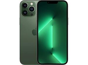 0194253124535 - Generalüberholt iPhone 13 Pro Max 128GB Alpingrün 0194253124535 - Generalüberholt iPhone 13 Pro Max 128GB Alpingrün