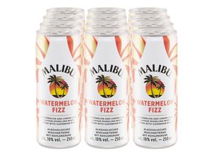 4005971396318 - Watermelon Fizz 100 % vol 025 Liter 12er Pack 4005971396318 - Watermelon Fizz 100 % vol 025 Liter 12er Pack