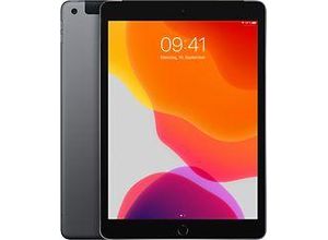 0190199249356 - iPad 102 128GB [Wi-Fi + Cellular Modell 2019] space grau