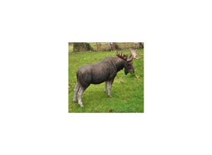 4251639210155 - Dazikemo Dekofigur Gartenfigur Elch 65 x 26 x 44 cm