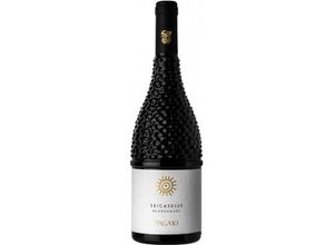 8054754890501 - Seicaselle Negroamaro 2023 - Tagaro 8054754890501 - Seicaselle Negroamaro 2023 - Tagaro