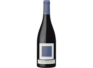 3760149591520 - CHÂTEAU PESQUIE QUINTESSENCE 2019 - CHÂTEAU PESQUIE 3760149591520 - CHÂTEAU PESQUIE QUINTESSENCE 2019 - CHÂTEAU PESQUIE