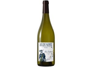 3149070038210 - Domaine des Sablons Muscadet Sèvre et Maine Sur Lie 2022 - Domaine Les Sablons 3149070038210 - Domaine des Sablons Muscadet Sèvre et Maine Sur Lie 2022 - Domaine Les Sablons