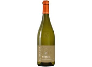 3149070037275 - Chenin Blanc - Loire Rebelle 2023 - Dumnacus Vignerons 3149070037275 - Chenin Blanc - Loire Rebelle 2023 - Dumnacus Vignerons