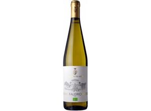 8018372002036 - SALADINI PILASTRI FALERIO 2021 - SALADINI PILASTRI 8018372002036 - SALADINI PILASTRI FALERIO 2021 - SALADINI PILASTRI