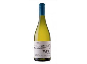 7808725409855 - VIÑA VENTISQUERO TARA WHITE WINE N°3 2020 - SAUVIGNON BLANC - TARA 7808725409855 - VIÑA VENTISQUERO TARA WHITE WINE N°3 2020 - SAUVIGNON BLANC - TARA