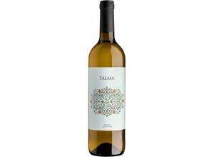 8437008052380 - Talma Verdejo 2024 - Bodegas Bastida