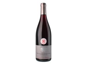 3662321007594 - Bourgogne Cote dOr 2021 - Domaine Pansiot 3662321007594 - Bourgogne Cote dOr 2021 - Domaine Pansiot