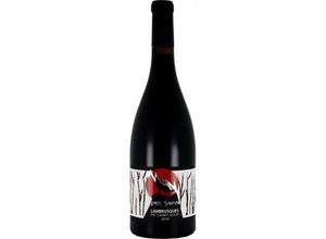 3395940544774 - Vins Aujoux MAGNUM - Esprit Sauvage - Lambrusques 2021 - JM Aujoux 3395940544774 - Vins Aujoux MAGNUM - Esprit Sauvage - Lambrusques 2021 - JM Aujoux