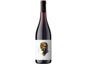 8032727710131 - TEANUM OTRE PRIMITIVO 2020 - CANTINE TEANUM 8032727710131 - TEANUM OTRE PRIMITIVO 2020 - CANTINE TEANUM