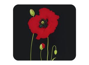 4008069042210 - Herd-Abdeckplatte »Multi Modell Mohn« Spritzschutz Herdblende Schneidbrett für Glaskeramik-Kochfelder