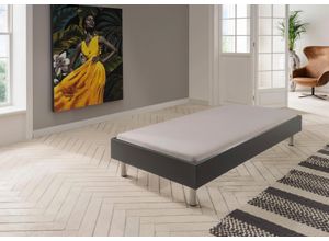 4038062101492 - Bett WIMEX Easy große Auswahl an Größen und Farben auch in Komforthöhe grau (graphit alufarben) H46cm L210cm Betten ohne Kopfteil ideal unter Dachschrägen oder Fenster