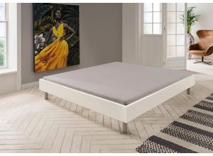 4038062069518 - Bett WIMEX Easy große Auswahl an Größen und Farben auch in Komforthöhe weiß (weiß alufarben) H46cm L210cm Betten ohne Kopfteil ideal unter Dachschrägen oder Fenster