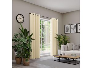 4006470539343 - Vorhang NEUTEX FOR YOU BELMONDO beige B138cm H285cm Polyester Gardinen Uni mit samtiger Oberfläche nach Maß