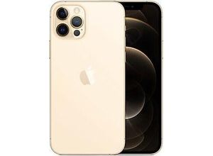 0194252039731 - iPhone 12 Pro 256 GB Gold Ohne Vertrag I 24 M Gratis Garantie 0194252039731 - iPhone 12 Pro 256 GB Gold Ohne Vertrag I 24 M Gratis Garantie