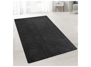 4064149217886 - Floordirekt Shaggy-Teppich Barcelona 21758 Schwarz Rechteckig 2000 mm x 2500 mm