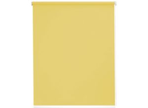 4001442726233 - Seitenzugrollo Young Style Blackout Rollos Gr 180 cm stufenlos positionierbar Bedienseite rechts 122 cm grün (limone weiß) Verdunkelungsrollos