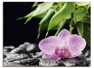 4055327241069 - Wandbild ARTLAND Rosa Orchidee auf schwarzen Zen Steinen Bilder Gr B H 80 cm x 60 cm Leinwandbild Blumen Querformat 1 St pink Bild Poster Bilder als Alubild Leinwandbild Wandaufkleber oder in versch Größen 4055327241069 - Wandbild ARTLAND Rosa Orchidee auf schwarzen Zen Steinen Bilder Gr B H 80 cm x 60 cm Leinwandbild Blumen Querformat 1 St pink Bild Poster Bilder als Alubild Leinwandbild Wandaufkleber oder in versch Größen