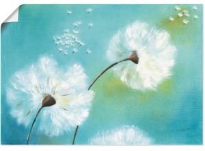 4055327300292 - Wandbild ARTLAND Pusteblumen Bilder Gr B H 70 cm x 50 cm Poster Blumen 1 St blau Bild Metallbild Metallbilder Bilder als Alubild Leinwandbild Wandaufkleber oder Poster in versch Größen 4055327300292 - Wandbild ARTLAND Pusteblumen Bilder Gr B H 70 cm x 50 cm Poster Blumen 1 St blau Bild Metallbild Metallbilder Bilder als Alubild Leinwandbild Wandaufkleber oder Poster in versch Größen