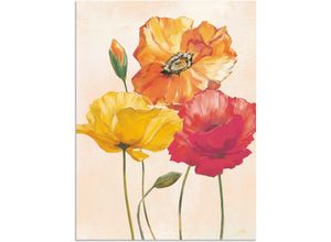 4057738411338 - Wandbild ARTLAND Bunte Mohnblumen I Bilder Gr B H 45 cm x 60 cm Alu-Dibond-Druck Blumenbilder Hochformat 1 St bunt Kunstdrucke als Alubild Leinwandbild Wandaufkleber oder Poster in versch Größen 4057738411338 - Wandbild ARTLAND Bunte Mohnblumen I Bilder Gr B H 45 cm x 60 cm Alu-Dibond-Druck Blumenbilder Hochformat 1 St bunt Kunstdrucke als Alubild Leinwandbild Wandaufkleber oder Poster in versch Größen