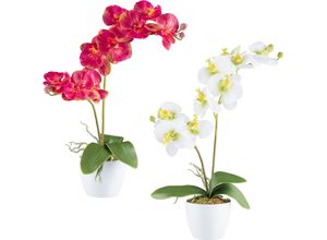 4064118241157 - Kunstorchidee CREATIV GREEN Orchidee Phalaenopsis pink H57cm Kunststoff Kunstpflanzen mit real-touch-Blüten 4064118241157 - Kunstorchidee CREATIV GREEN Orchidee Phalaenopsis pink H57cm Kunststoff Kunstpflanzen mit real-touch-Blüten