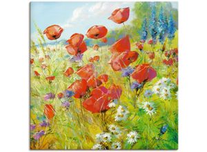 4055327137362 - Wandbild ARTLAND Sommerwiese mit Mohnblumen Bilder Gr B H 30 cm x 30 cm Leinwandbild Blumenwiese 1 St bunt Bild Poster Bilder als Alubild Leinwandbild Wandaufkleber oder in versch Größen