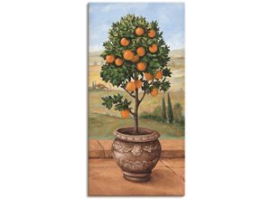 4055327160483 - Wandbild ARTLAND Orangenbaum Bilder Gr B H 30 cm x 60 cm Leinwandbild Bäume 1 St grün Bild Metallbild Metallbilder Bilder als Alubild Leinwandbild Wandaufkleber oder Poster in versch Größen 4055327160483 - Wandbild ARTLAND Orangenbaum Bilder Gr B H 30 cm x 60 cm Leinwandbild Bäume 1 St grün Bild Metallbild Metallbilder Bilder als Alubild Leinwandbild Wandaufkleber oder Poster in versch Größen