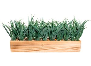4064118144120 - Kunstgras CREATIV GREEN Grasbusch Kunstpflanzen Gr B H 55 cm x 23 cm 1 St grün Kunst-Gräser mit Blüten im Topf
