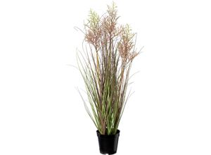 4064118138433 - Kunstgras CREATIV GREEN Reitgras im Topf grün H83cm Obermaterial 100% Polyethylen Kunstpflanzen 4064118138433 - Kunstgras CREATIV GREEN Reitgras im Topf grün H83cm Obermaterial 100% Polyethylen Kunstpflanzen