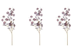 4064118965022 - Kunstzweig CREATIV GREEN Eukalypthus-Zweig Kunstpflanzen Gr H 110 cm 3 St lila (purple) Kunst-Zweige 4064118965022 - Kunstzweig CREATIV GREEN Eukalypthus-Zweig Kunstpflanzen Gr H 110 cm 3 St lila (purple) Kunst-Zweige